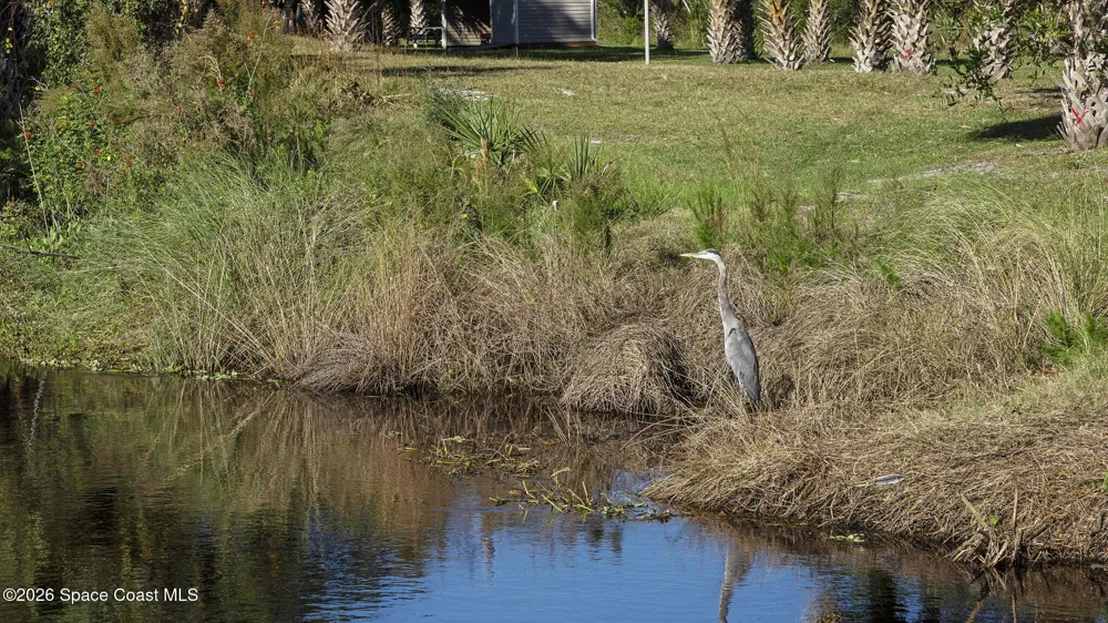 446 Plantation Drive Titusville, FL 32780
