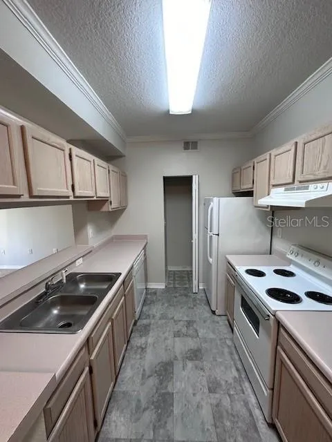 5612 PINNACLE HEIGHTS CIRCLE #306 Tampa, FL 33624