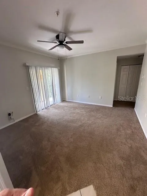 5612 PINNACLE HEIGHTS CIRCLE #306 Tampa, FL 33624