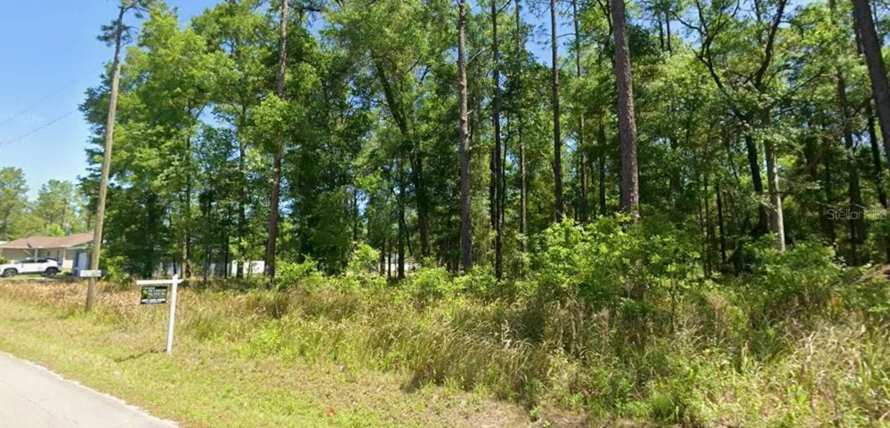 0 SE 159TH CT ocala, FL 34481