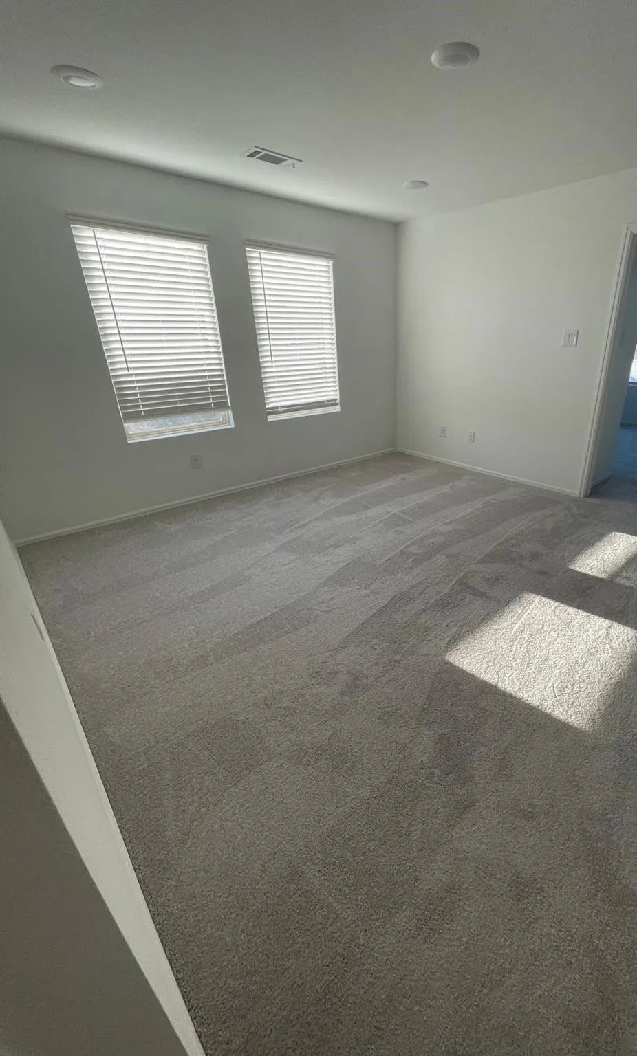 31511 Silverthorne Bush Drive Hockley, TX 77447