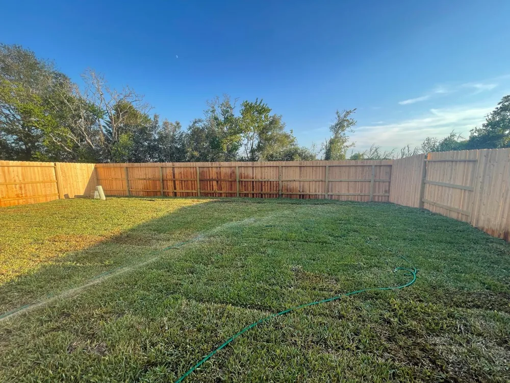 31511 Silverthorne Bush Drive Hockley, TX 77447