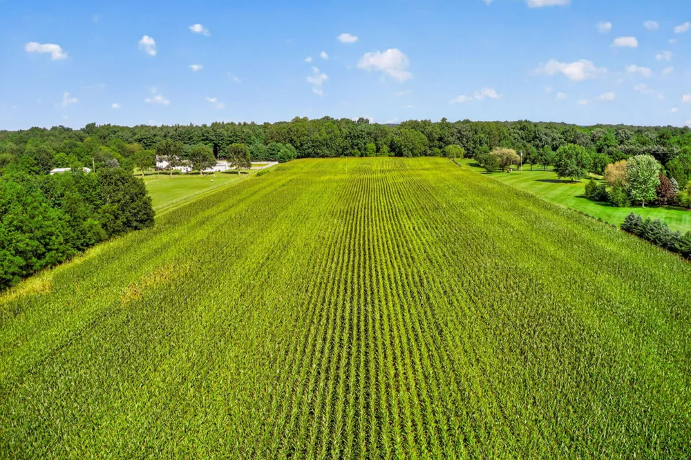 Adamsville Road Edwardsburg, MI 49112