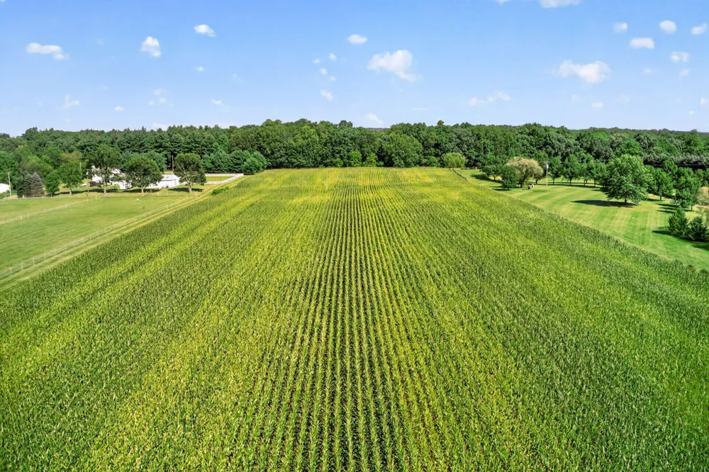 Adamsville Road Edwardsburg, MI 49112
