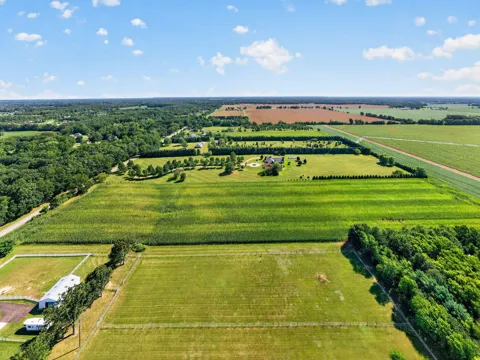 Adamsville Road