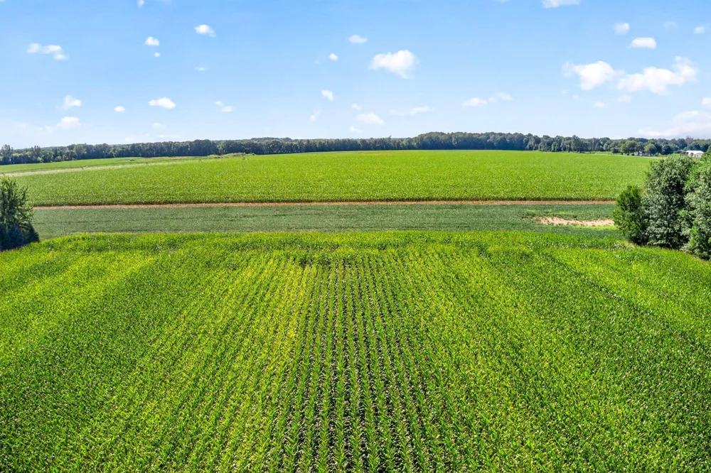 Adamsville Road Edwardsburg, MI 49112