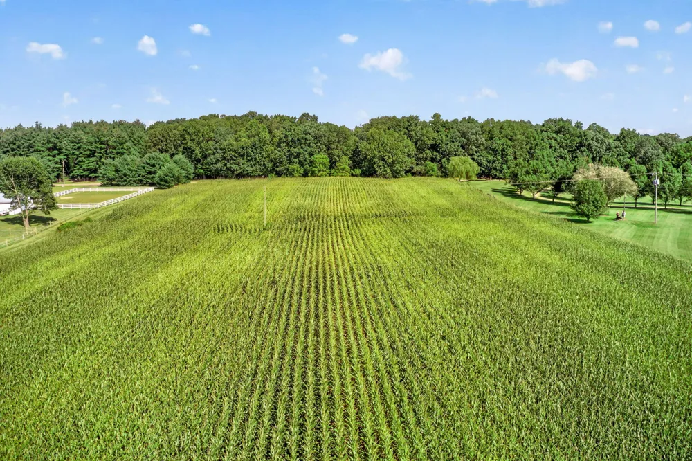 Adamsville Road Edwardsburg, MI 49112