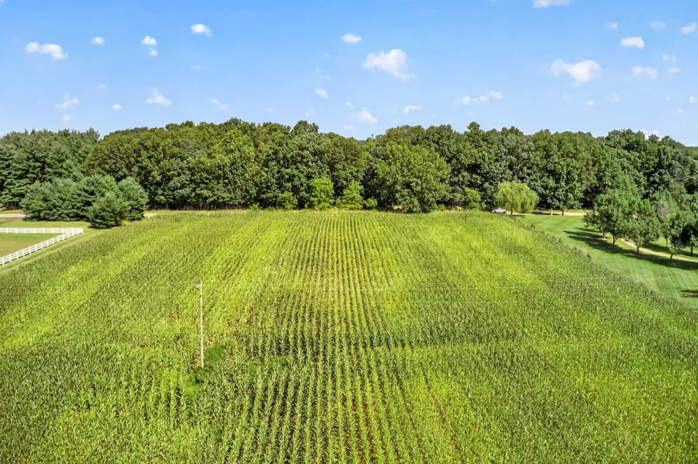 Adamsville Road Edwardsburg, MI 49112