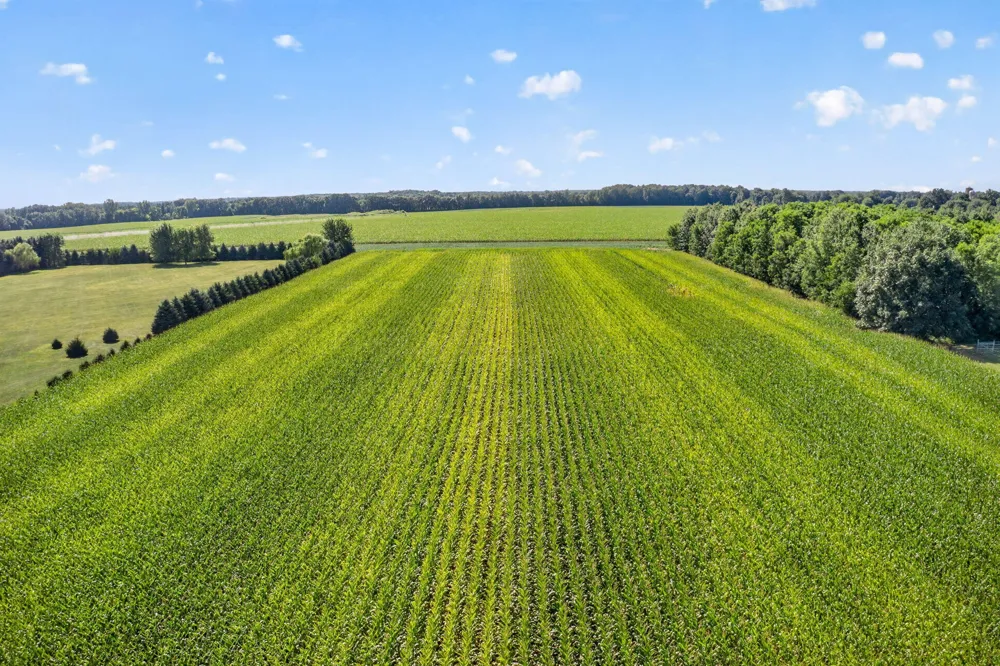 Adamsville Road Edwardsburg, MI 49112
