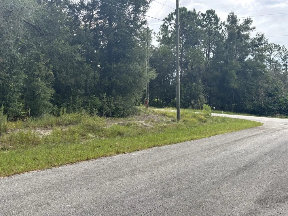 0 SW SOUTH WIND COURT Dunnellon, FL 34431