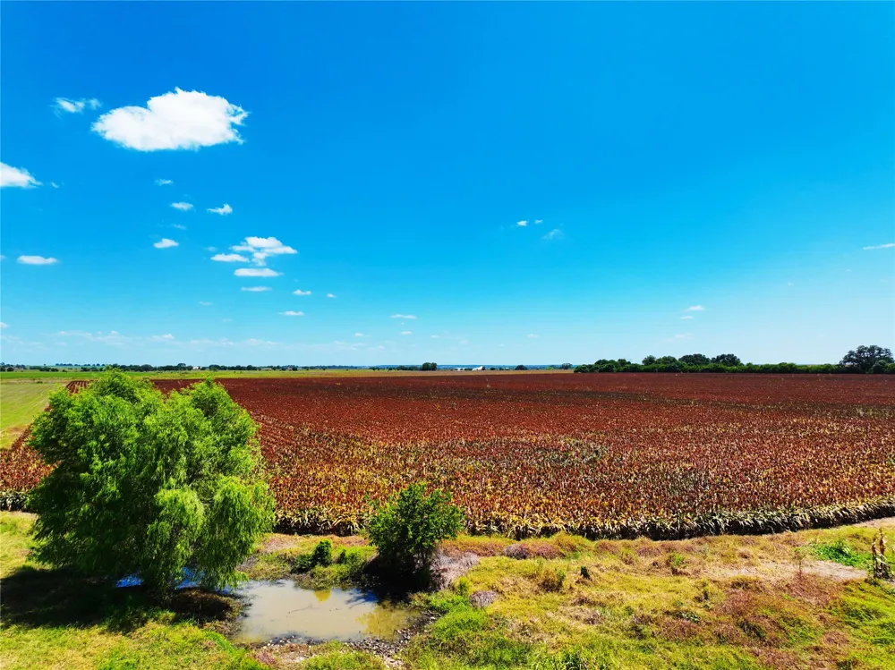 FM 621 Martindale, TX 78655