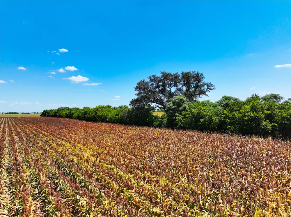 FM 621 Martindale, TX 78655