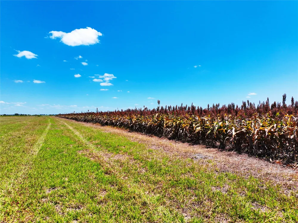 FM 621 Martindale, TX 78655