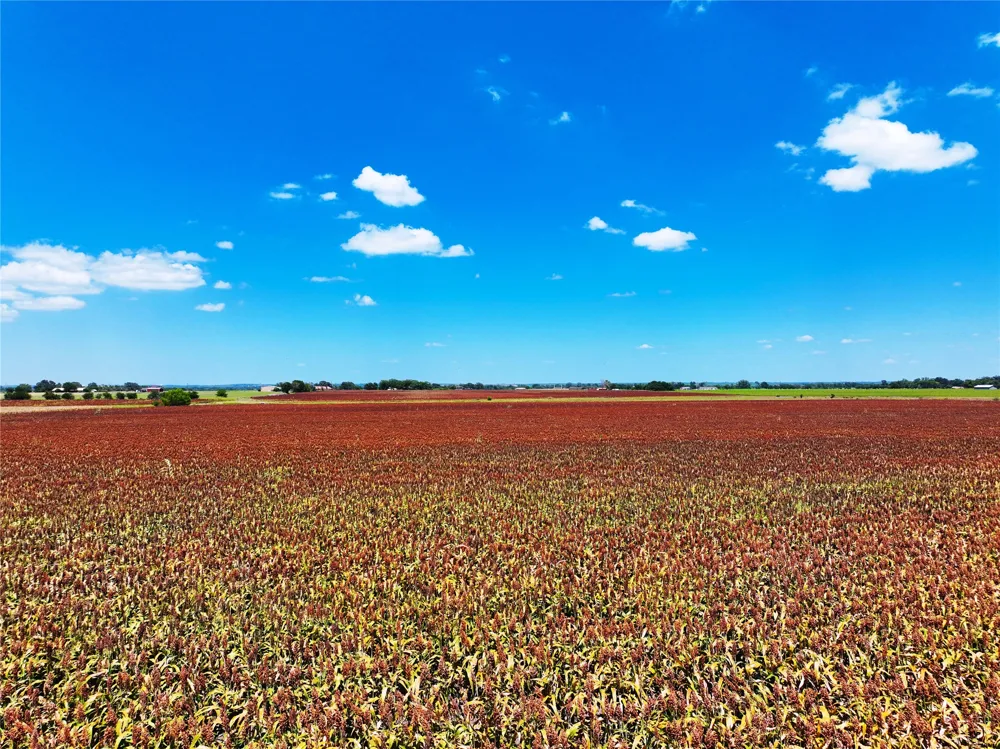 FM 621 Martindale, TX 78655