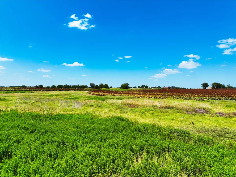 FM 621 Martindale, TX 78655