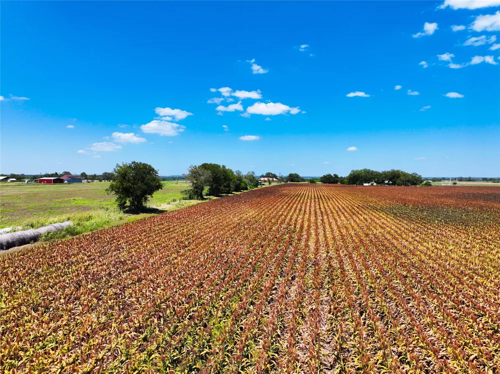 FM 621 Martindale, TX 78655