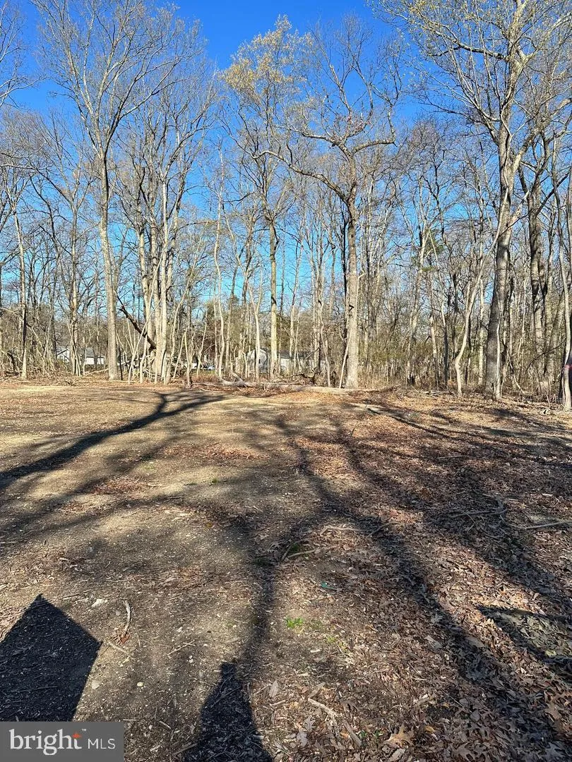 1609 BOSTON AVENUE Williamstown, NJ 08094