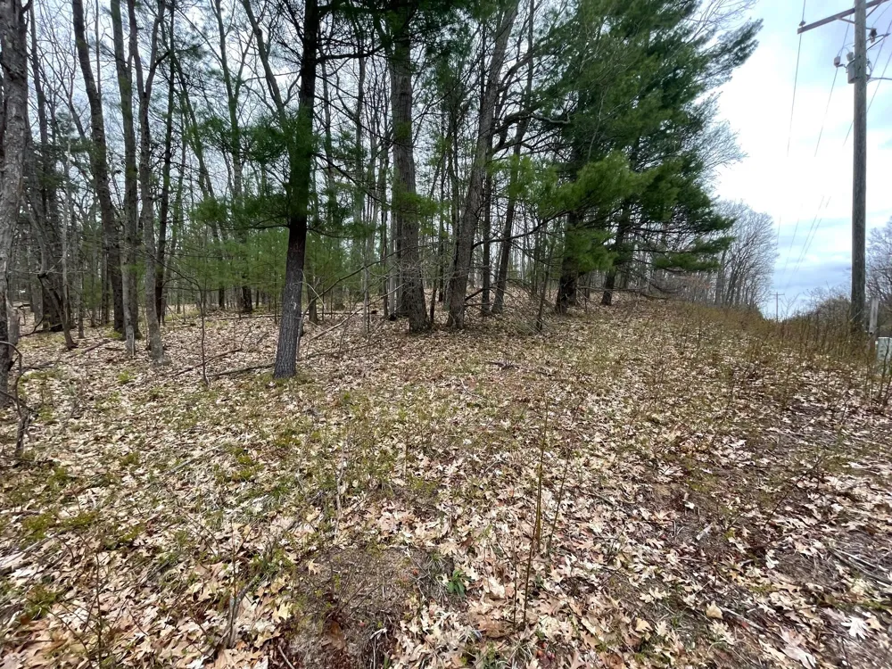 Coates Highway Brethren, MI 49619