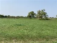 3150 CR 152 Georgetown, TX 78626