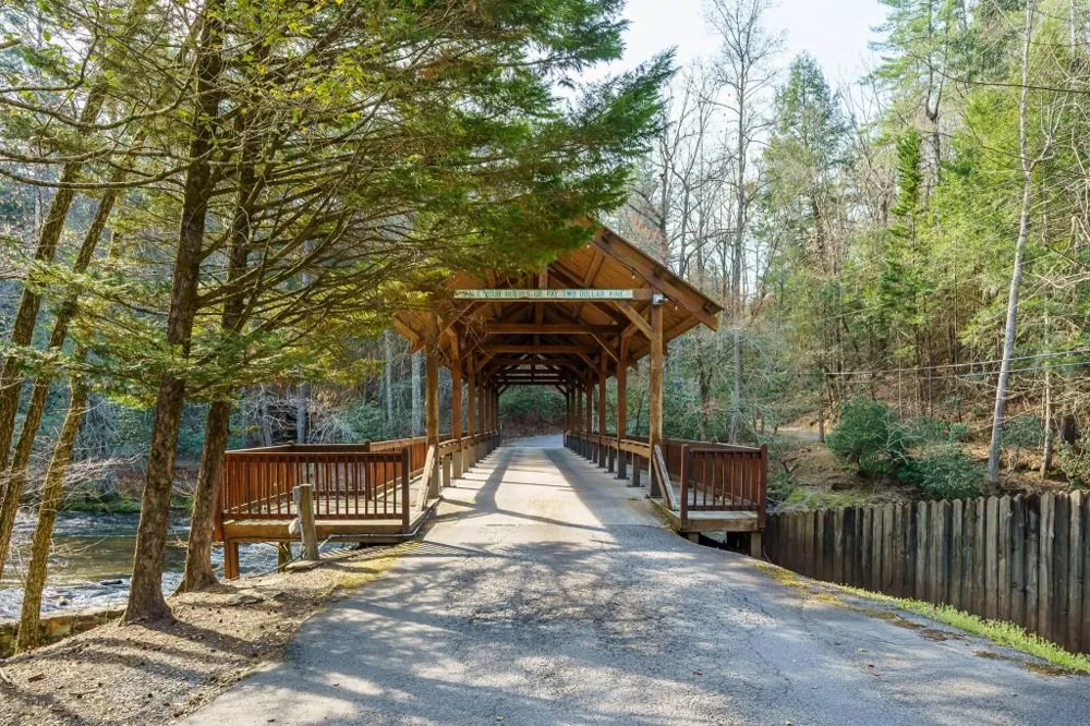 19 Blackberry Falls Lane Ellijay, GA 30536