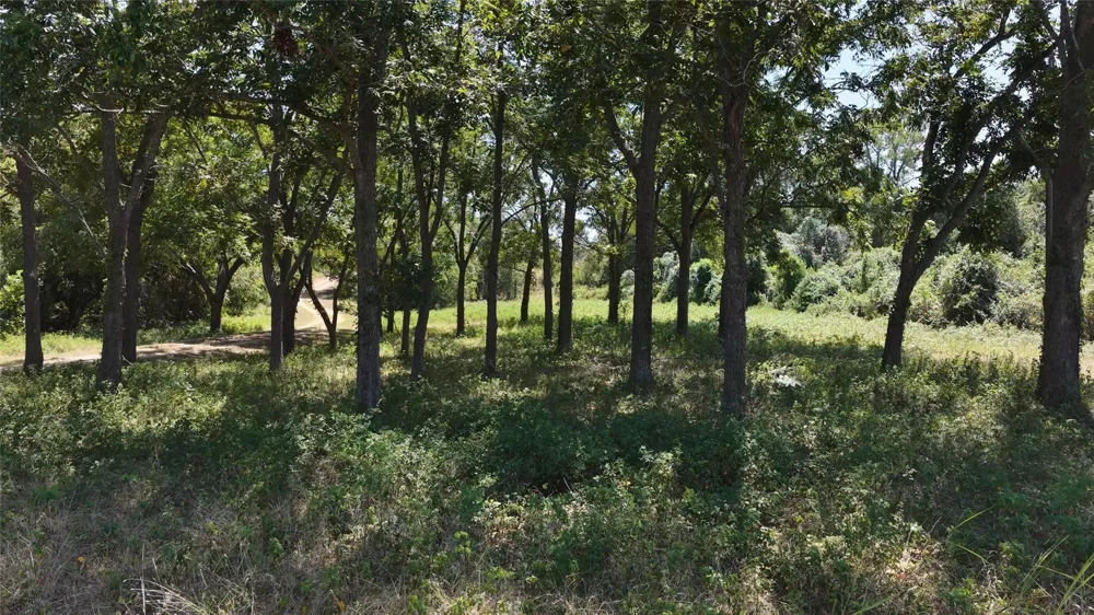 5420 Frances Road La Grange, TX 78945