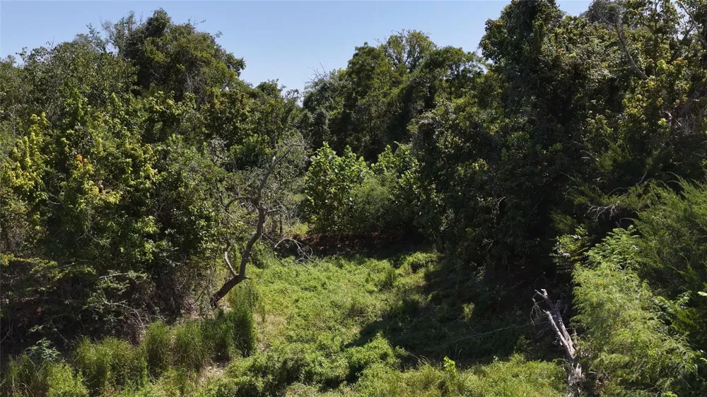 5420 Frances Road La Grange, TX 78945