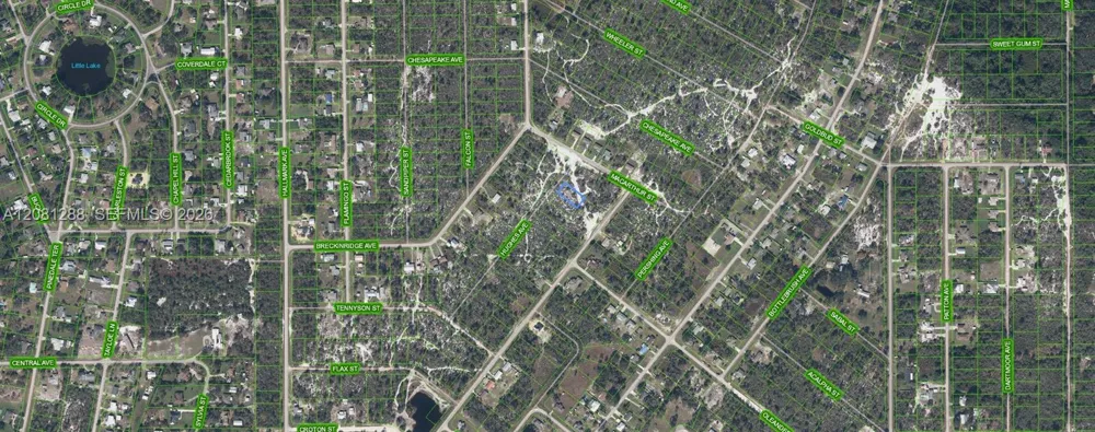 1073 Hughes Ave Lake Placid, FL 33852