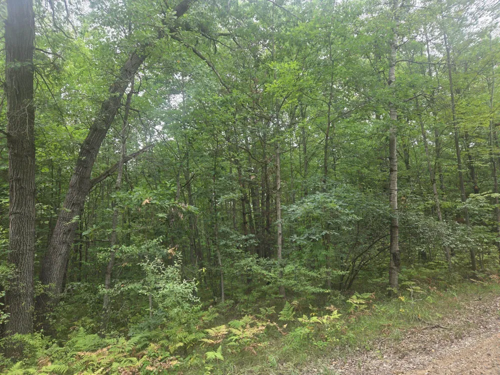 7873 Wild Oaks Drive Sherman Township, MI 48893