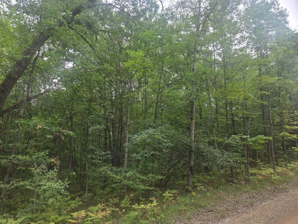 7873 Wild Oaks Drive Sherman Township, MI 48893