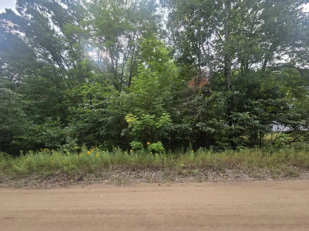 7873 Wild Oaks Drive Sherman Township, MI 48893