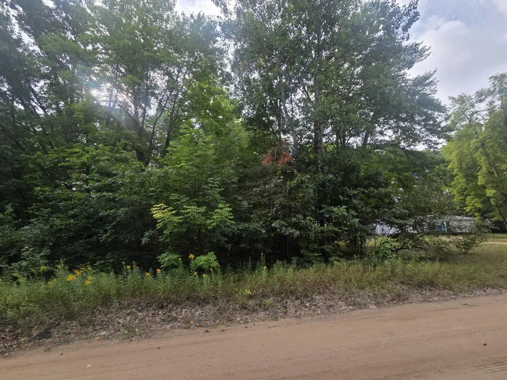 7873 Wild Oaks Drive Sherman Township, MI 48893
