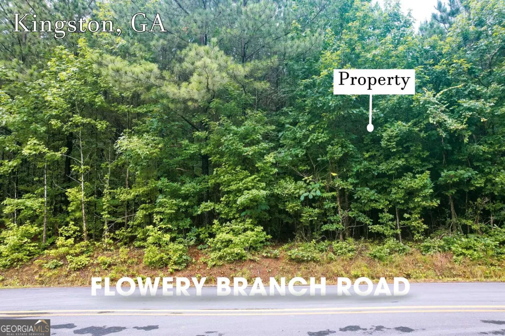 LOT 1 Flowery Branch RD Kingston, GA 30145