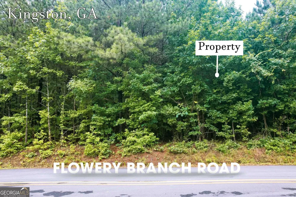LOT 1 Flowery Branch RD Kingston, GA 30145