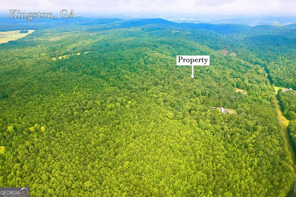 LOT 1 Flowery Branch RD Kingston, GA 30145