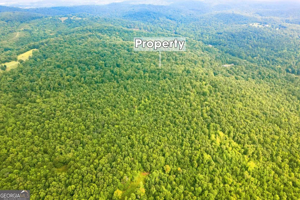 LOT 1 Flowery Branch RD Kingston, GA 30145