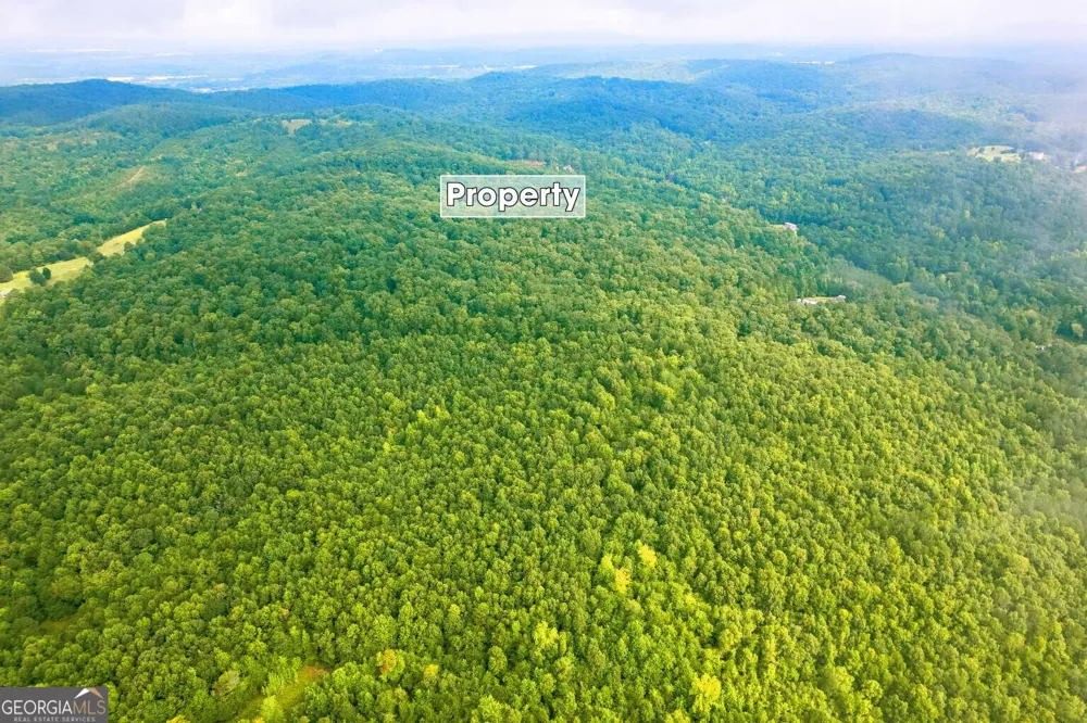 LOT 1 Flowery Branch RD Kingston, GA 30145