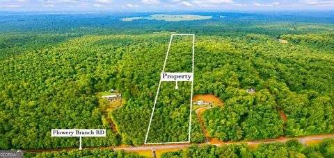 LOT 1 Flowery Branch RD