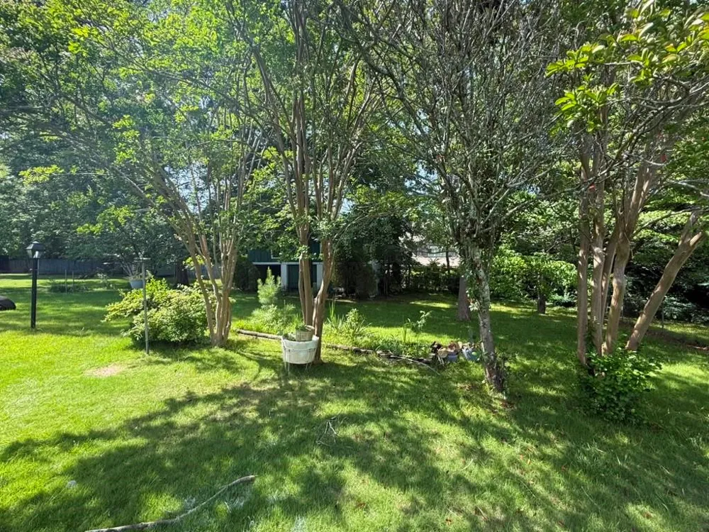 217 Montgomery Street NE Marietta, GA 30060