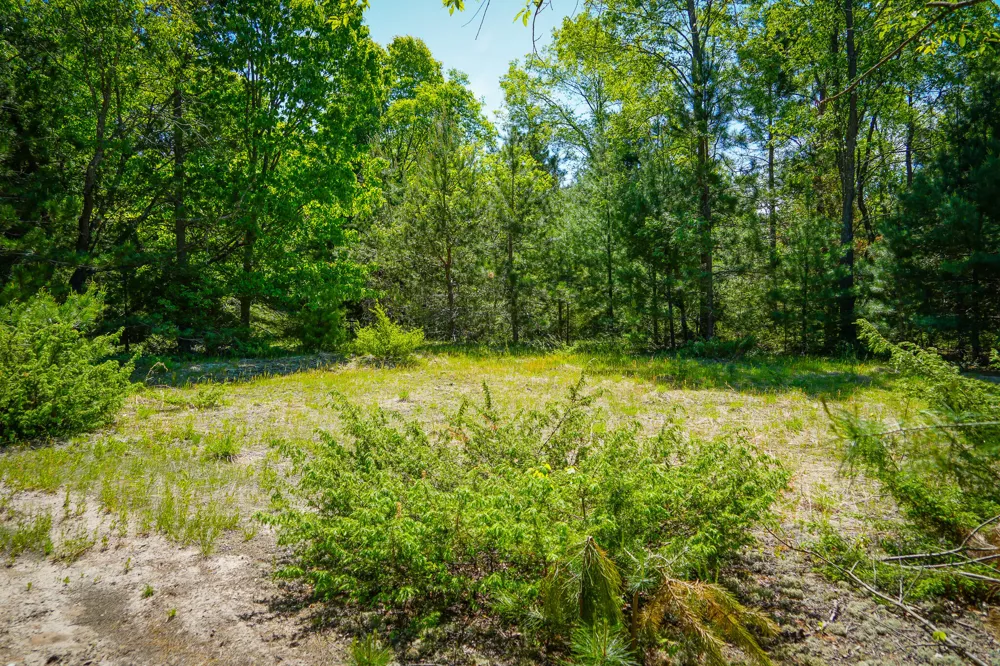 1 Makinen Road Kaleva, MI 49645