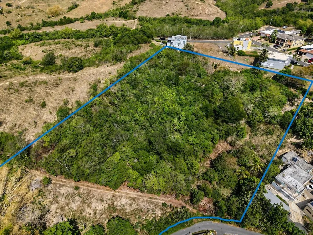 PR 906 KM 3.9 Yabucoa, PR 00767