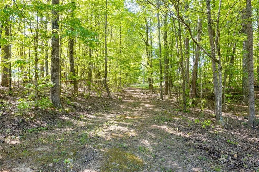 8277 Buchanan Highway Dallas, GA 30157