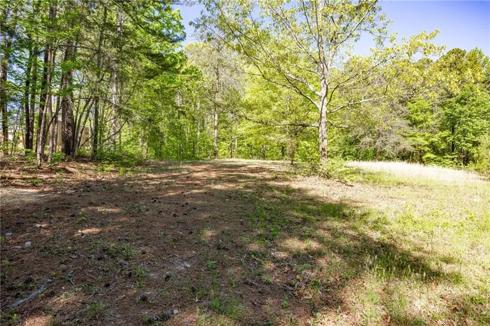 8277 Buchanan Highway Dallas, GA 30157