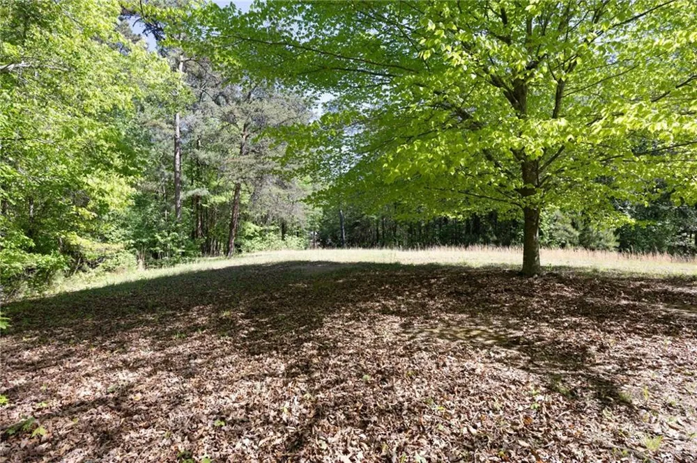 8277 Buchanan Highway Dallas, GA 30157