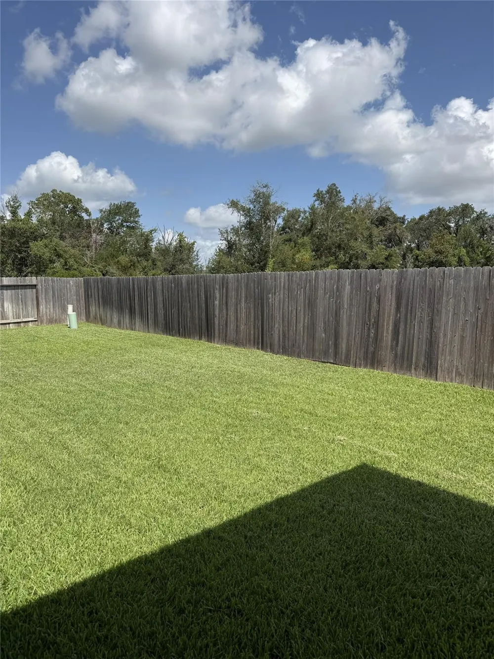 8303 Divot Trace Fulshear, TX 77441