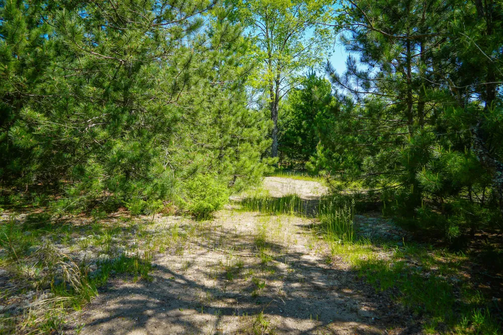 2 Makinen Road Kaleva, MI 49645
