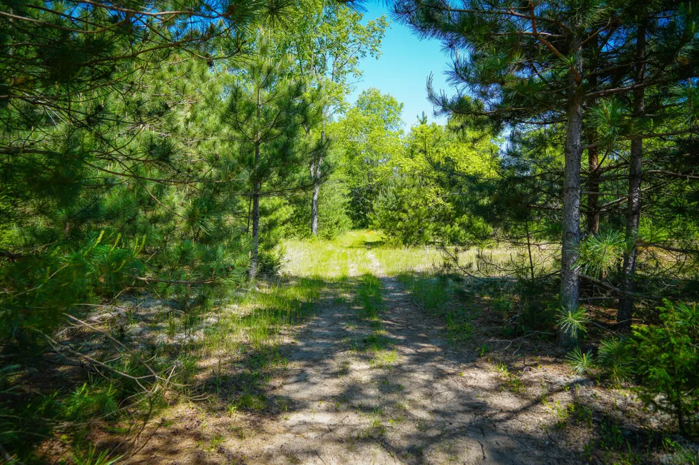 2 Makinen Road Kaleva, MI 49645