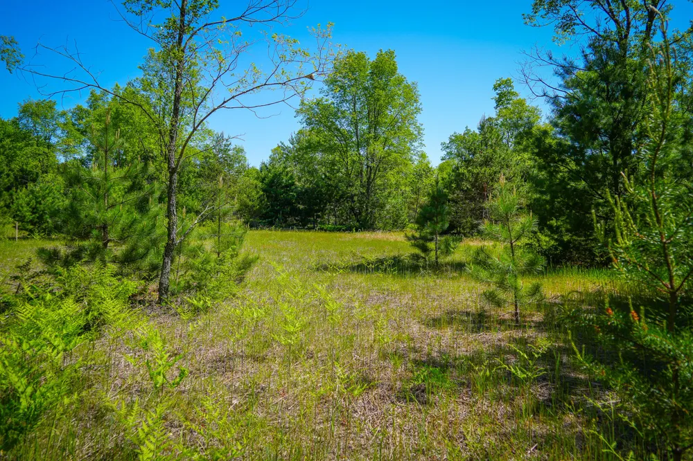 2 Makinen Road Kaleva, MI 49645