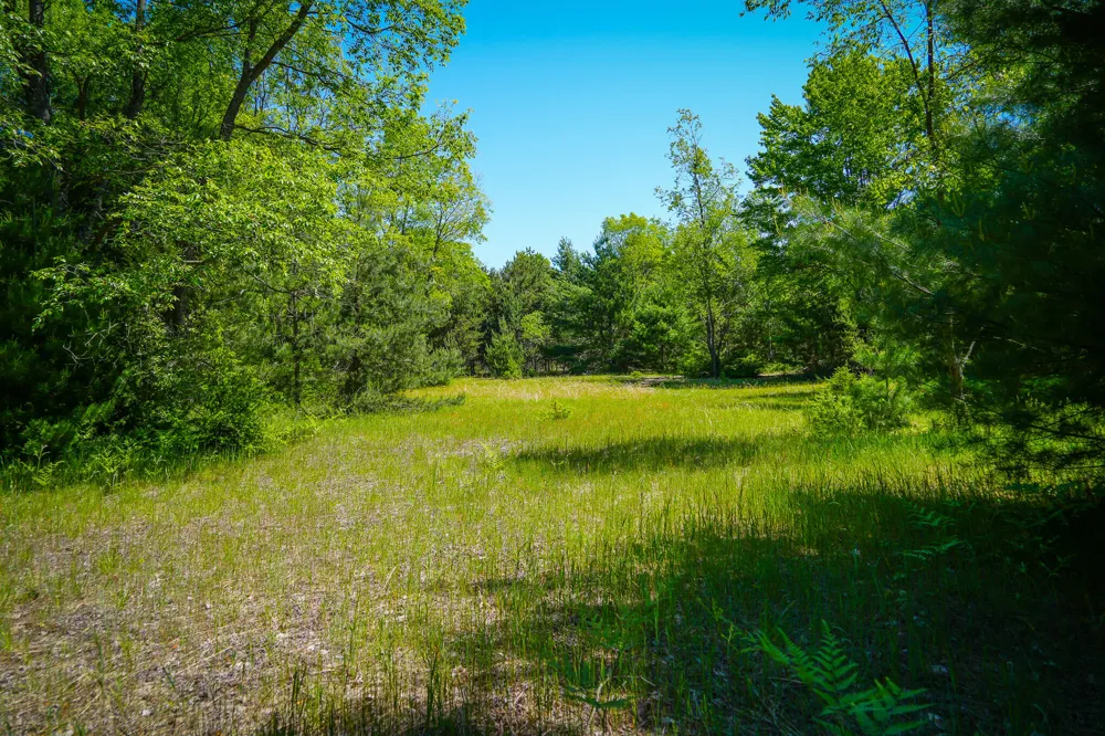 2 Makinen Road Kaleva, MI 49645