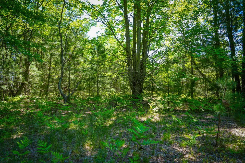 2 Makinen Road Kaleva, MI 49645