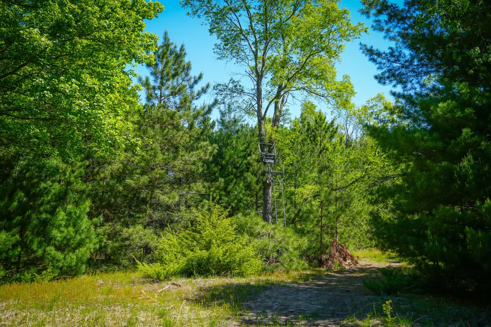 2 Makinen Road Kaleva, MI 49645